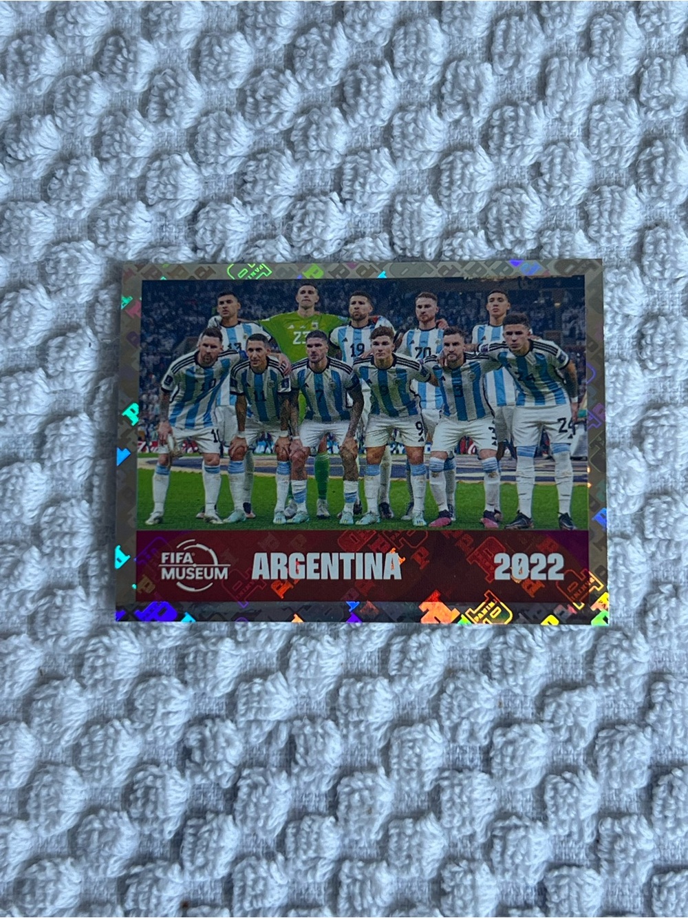 Panini FIFA World Cup Argentina Collectible Sticker